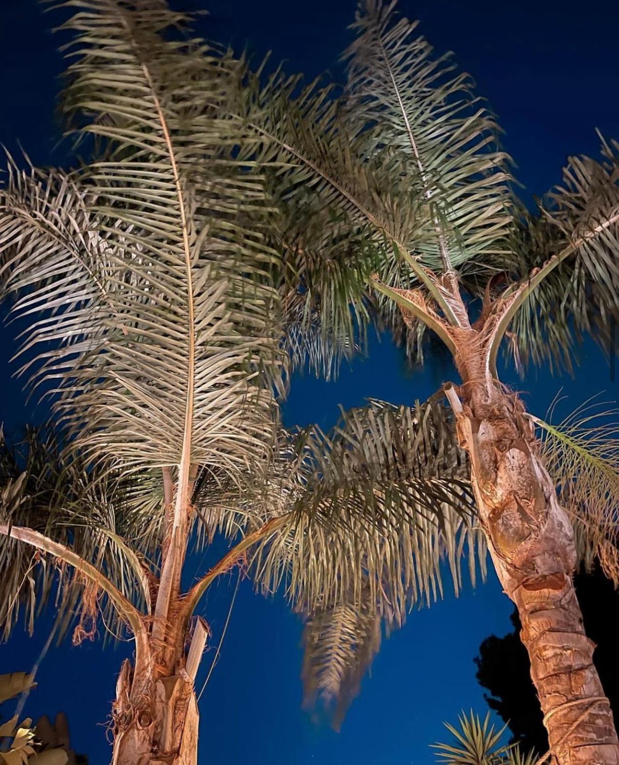 Luxury B&B Villa Tauro La Cala De Mijas Exteriör bild